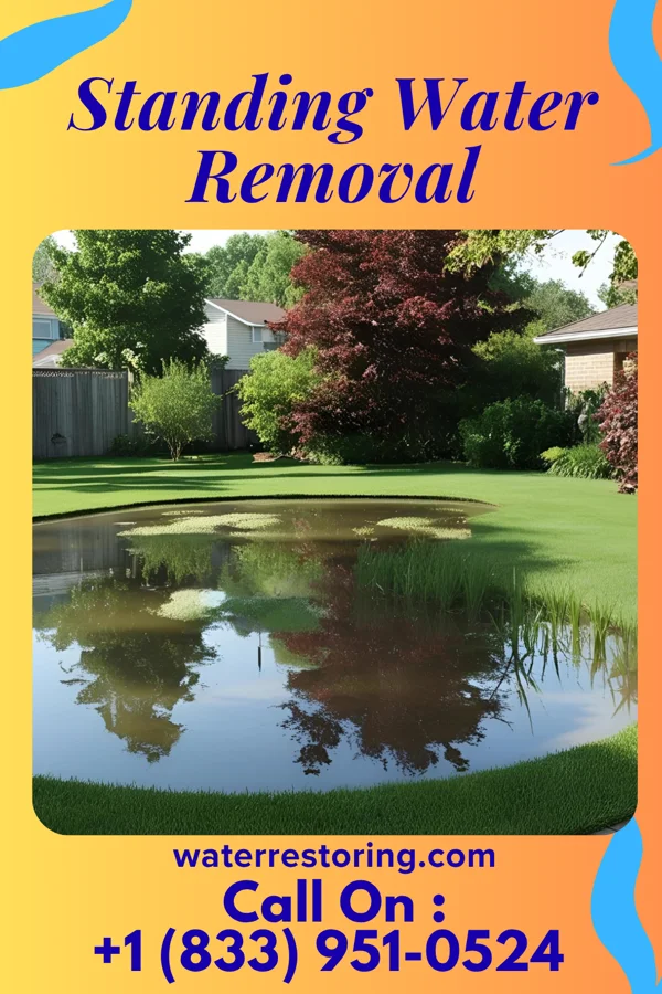 Standing Water Removal in Big Rock, IL